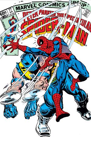 Peter Parker: The Spectacular Spider-Man #77  cover