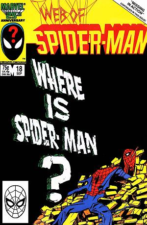 Web Of Spider-Man #18  cover