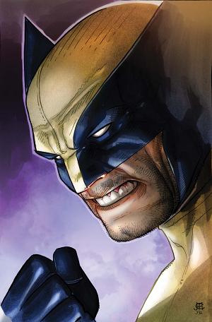 Wolverine #300
