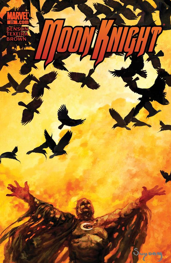 Moon Knight #25  cover