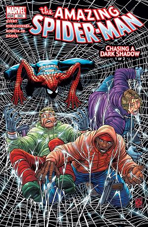 Amazing Spider-Man #503  cover