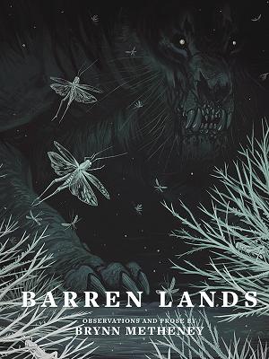 Barren Lands By Brynn Metheney