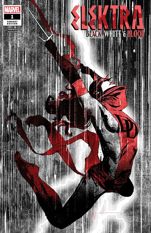 Elektra: Black, White & Blood #1  cover