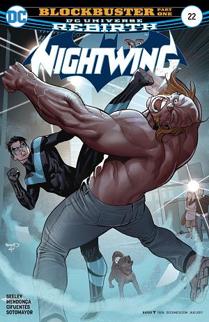 Nightwing #22  cover