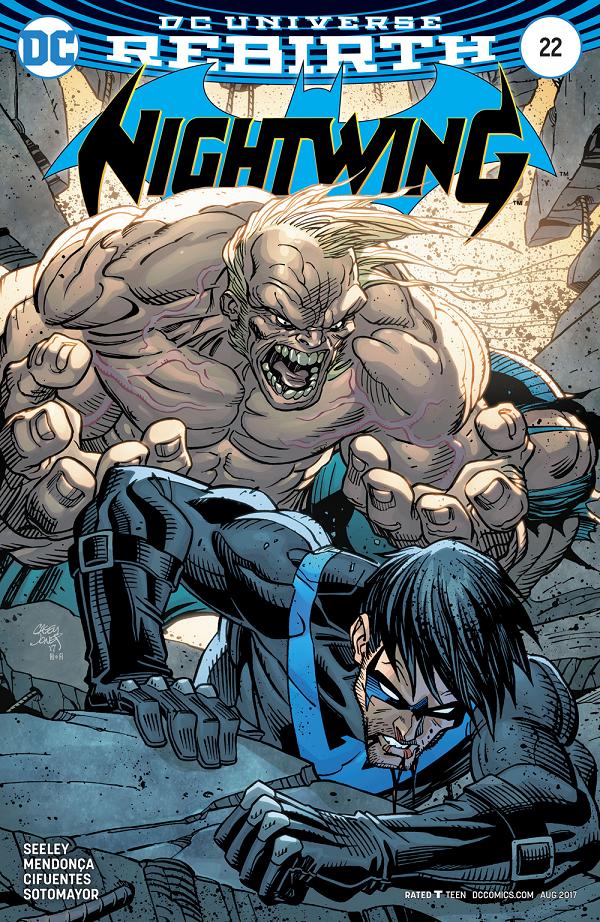 Nightwing #22  cover