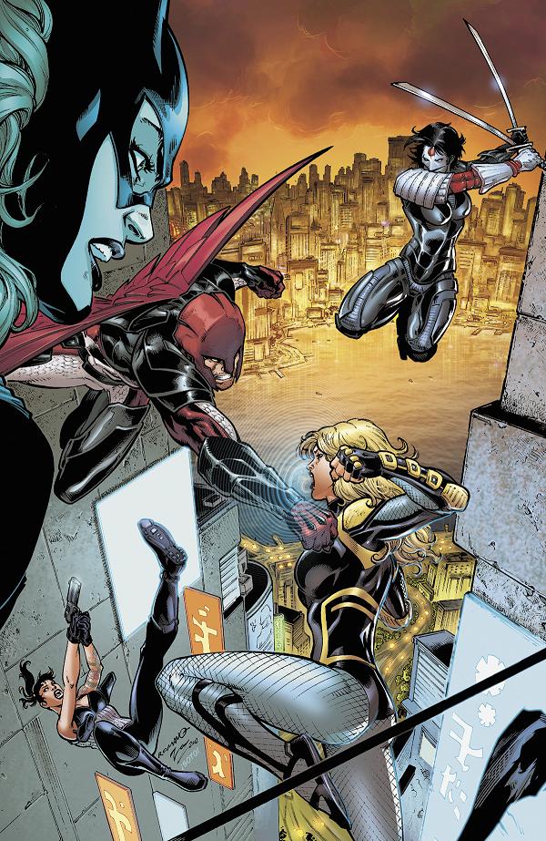 Birds Of Prey #14  cover