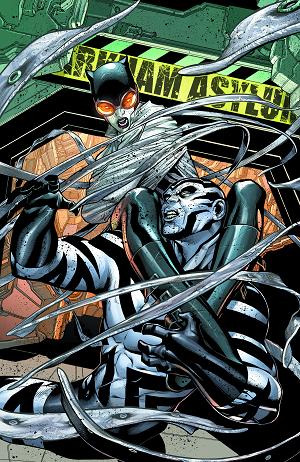 Catwoman #20  cover