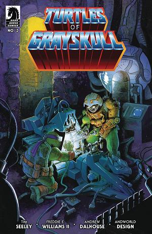 Masters Of Universe Tmnt Turtles Of Grayskull #3 CVR B CROOK cover