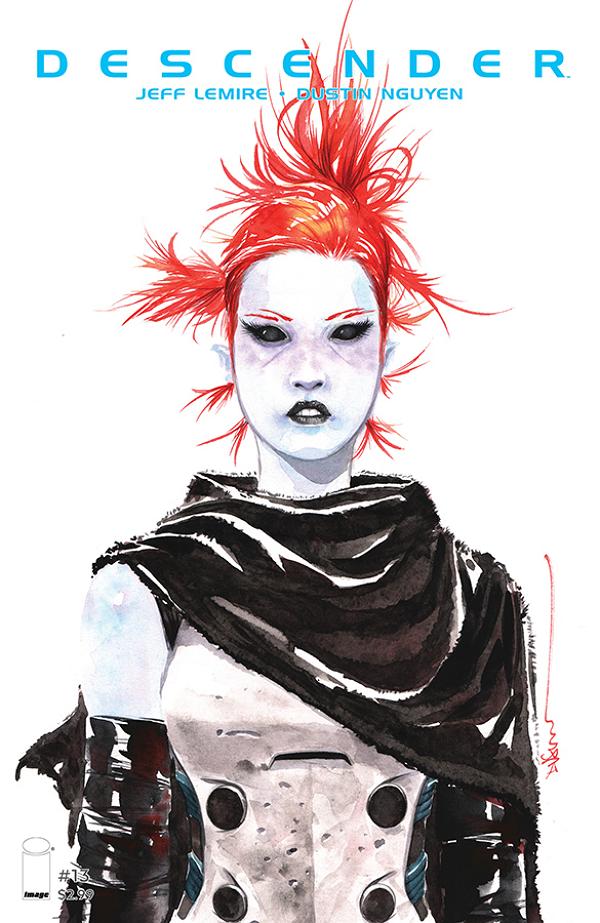 Descender #13  cover