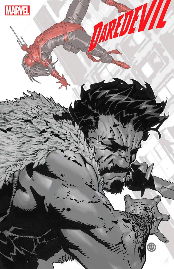 Daredevil: Woman Without Fear #3  cover
