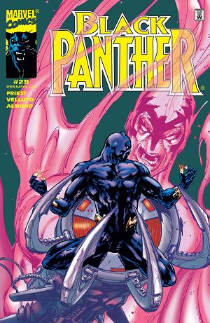 Black Panther #29  cover