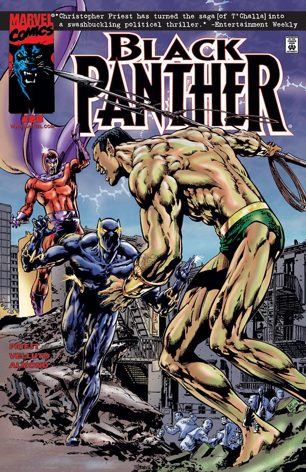 Black Panther #28  cover