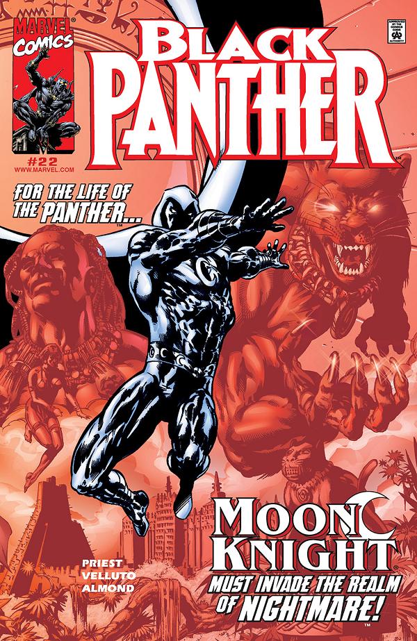 Black Panther #22  cover