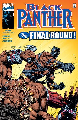 Black Panther #20  cover