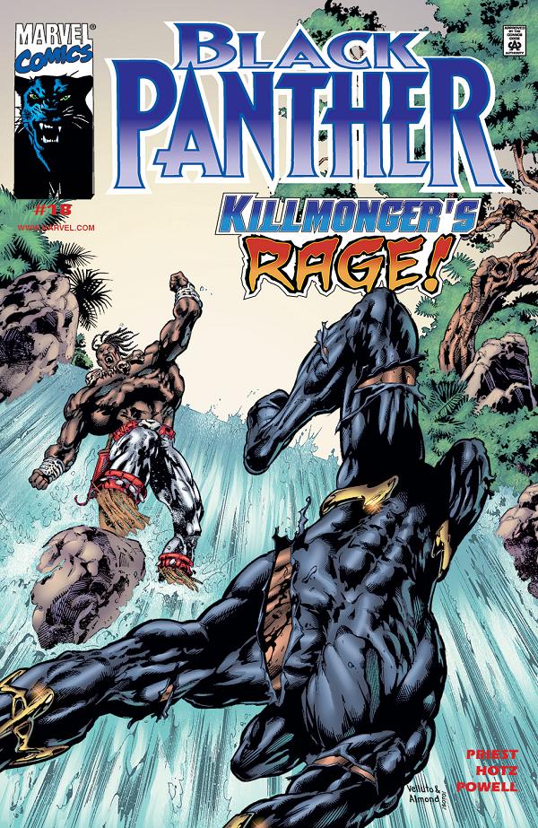 Black Panther #18  cover
