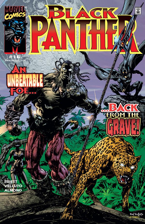 Black Panther #16  cover