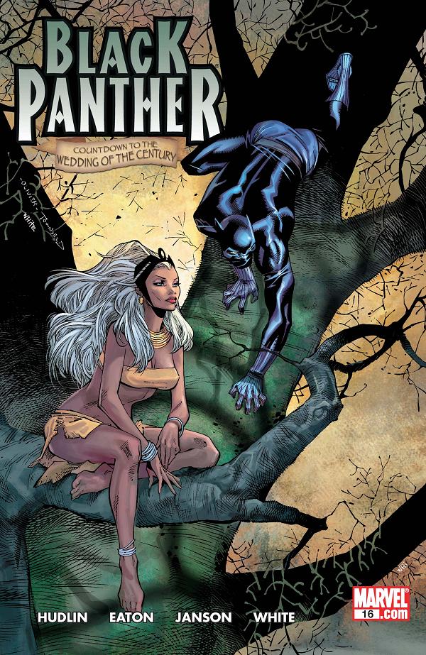 Black Panther #16  cover