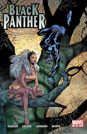 Black Panther #16  cover