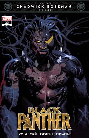 Black Panther #23 cover