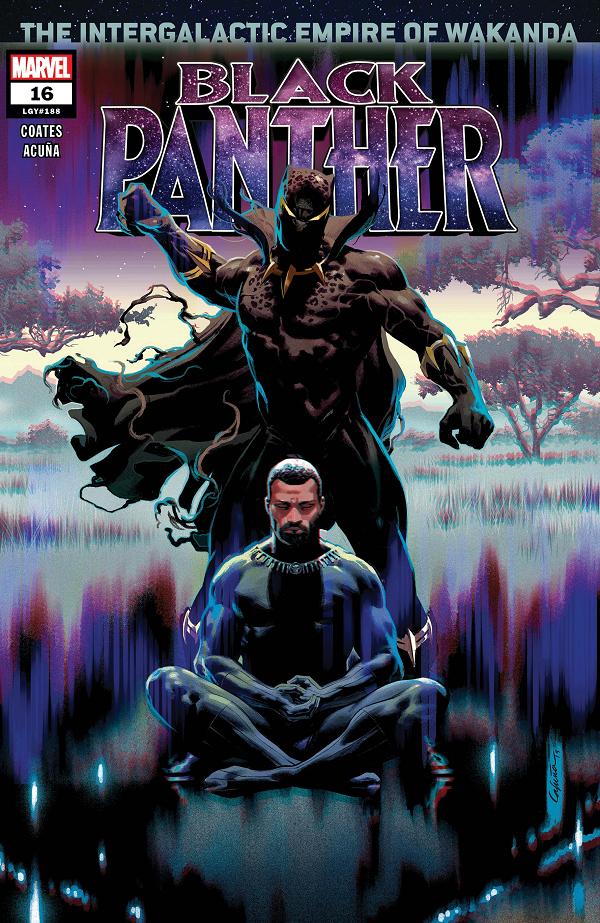 Black Panther #16  cover