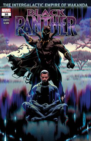 Black Panther #16  cover