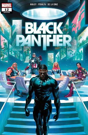 Black Panther #12 cover