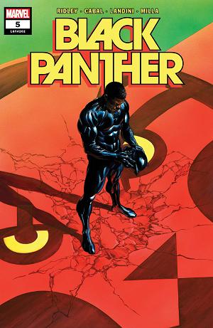 Black Panther #5 cover