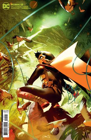 Robin #15 CVR B CVR B DIMEO CARD STOCK cover