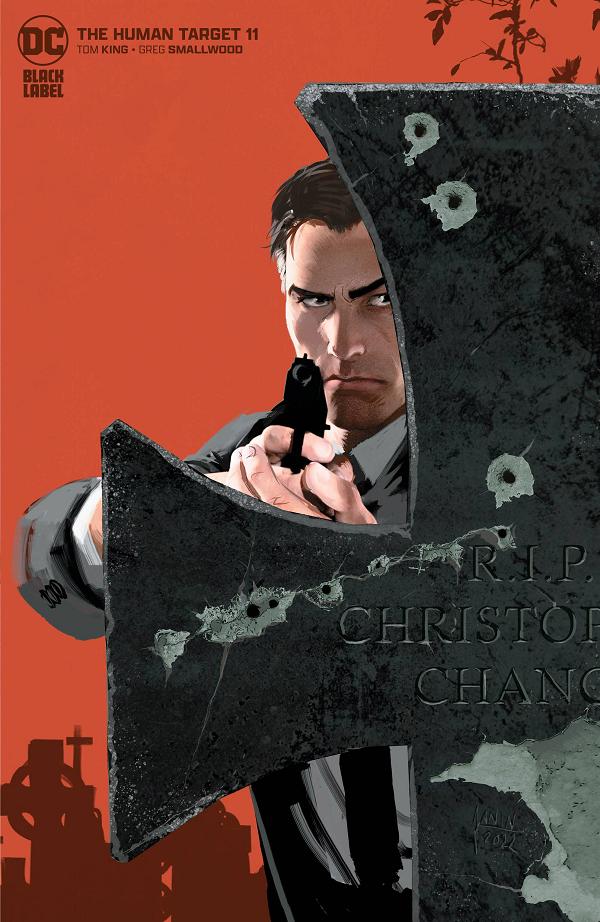 Human Target #11 CVR B MIKEL JANIN (MR) cover