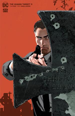 Human Target #11 CVR B MIKEL JANIN (MR) cover