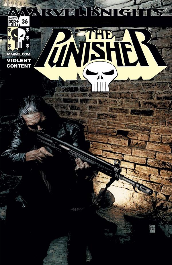 Punisher (2001) #36 cover