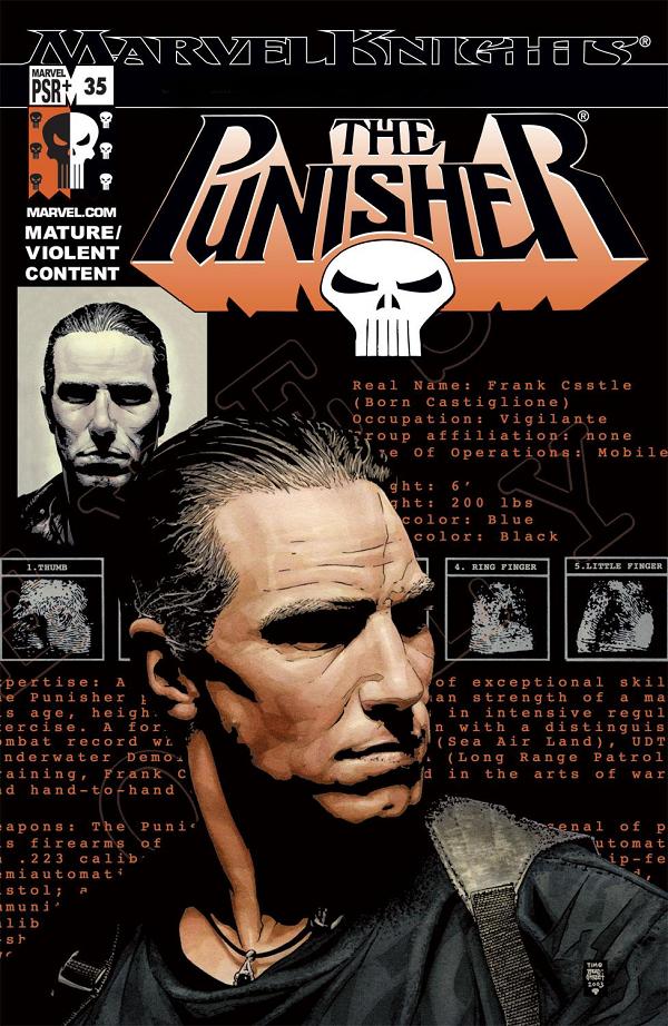 Punisher (2001) #35  cover