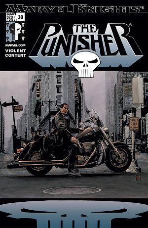 Punisher (2001) #30 cover