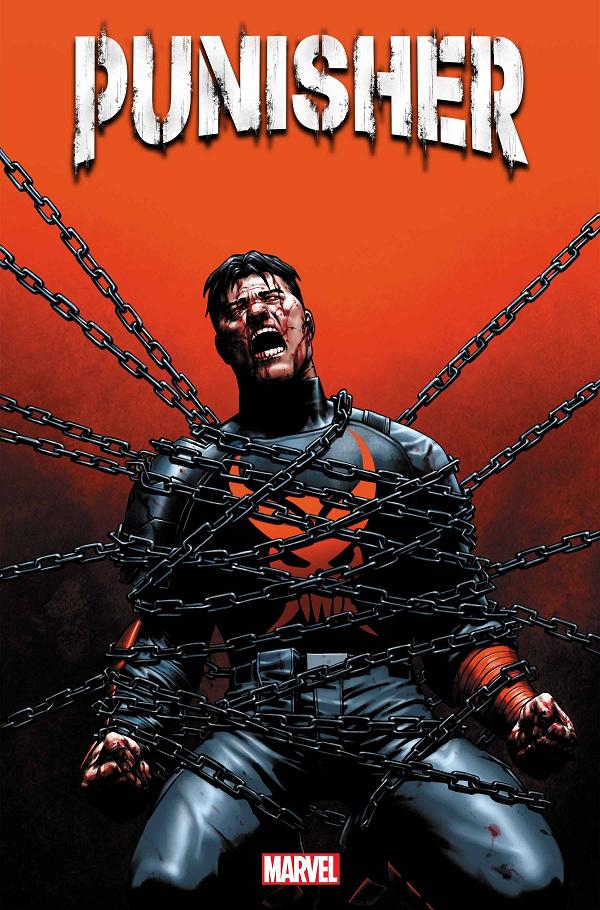 Punisher #12 cover
