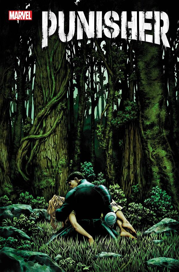 Punisher #5  cover