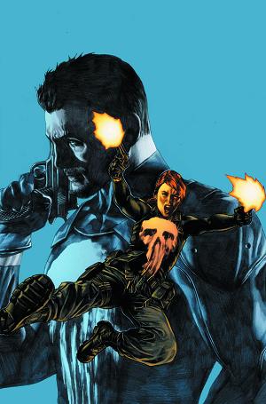 Punisher #14 cover