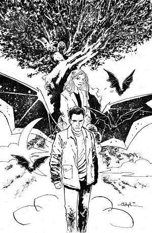 Angel & Spike #14 CVR C CVR C BOWYER cover