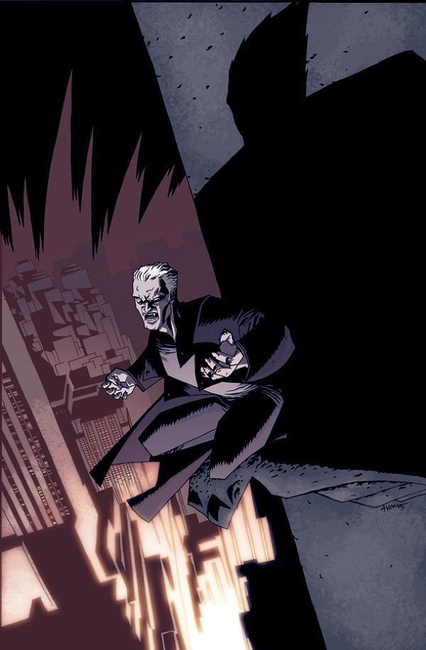 Angel After The Fall #8  cover