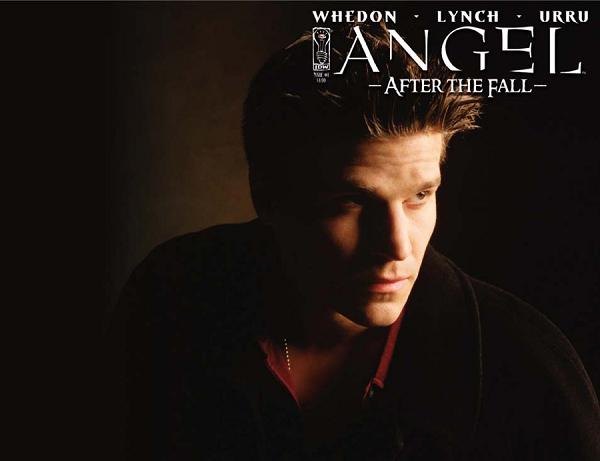 (Use Nov078042) Angel After The Fall #1  cover