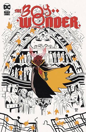 The Boy Wonder Hc cover