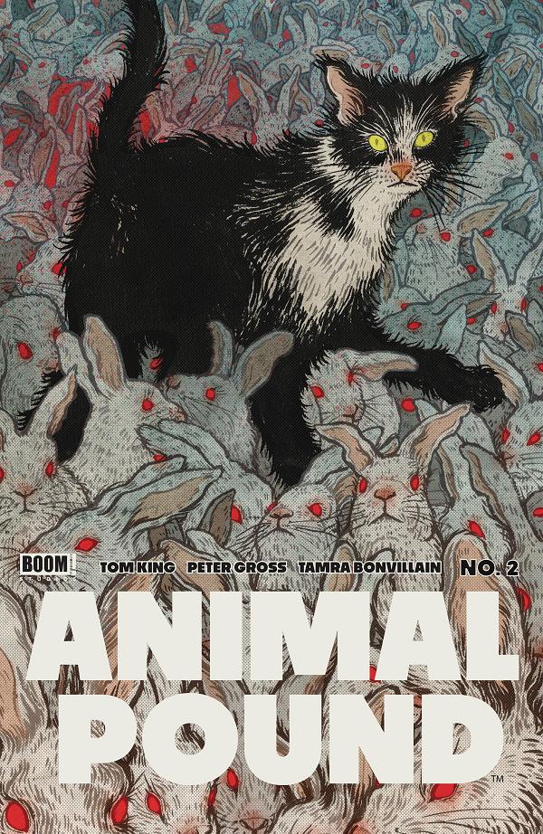 Animal Pound #2 CVR B SHIMIZU (MR) cover
