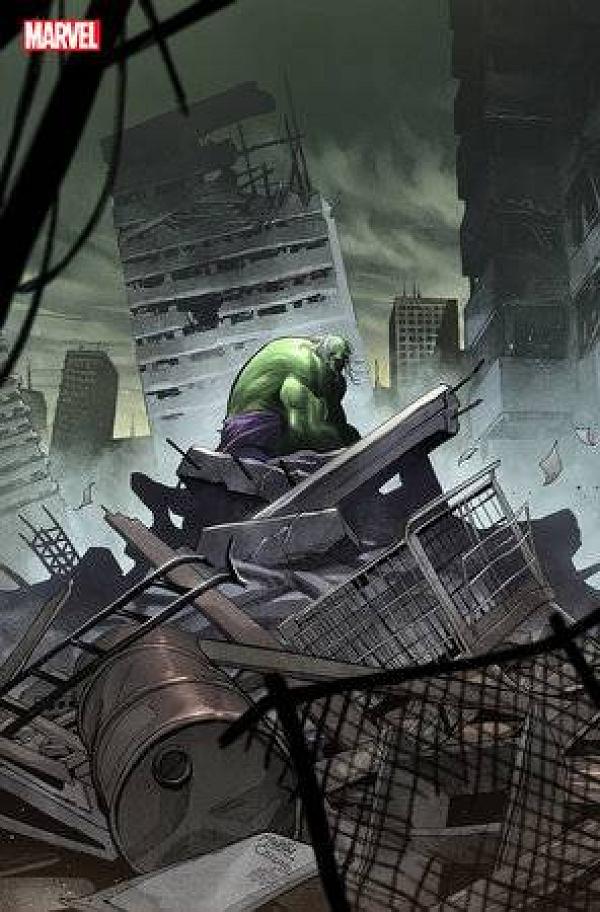 Incredible Hulk #19 MARTIN COCCOLO STORMBREAKERS cover