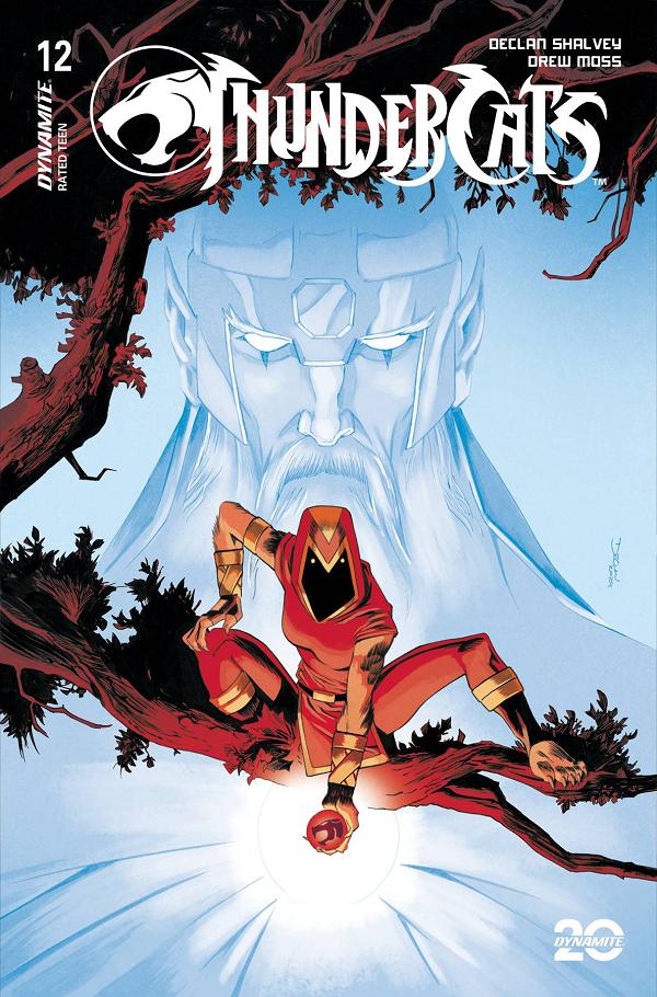 Thundercats #12 variant cover by Declan Shalvey