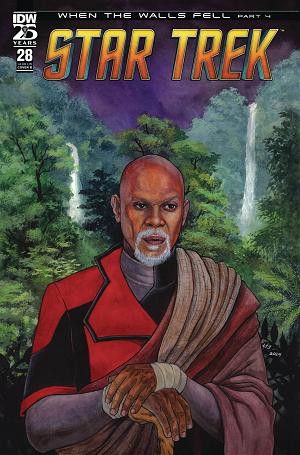 Star Trek #28 CVR B FOWLER cover