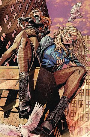 Birds Of Prey #18 CVR B SERG ACUNA CSV cover