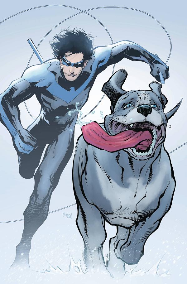 Nightwing #124 CVR C GLEB MELNIKOV CSV cover