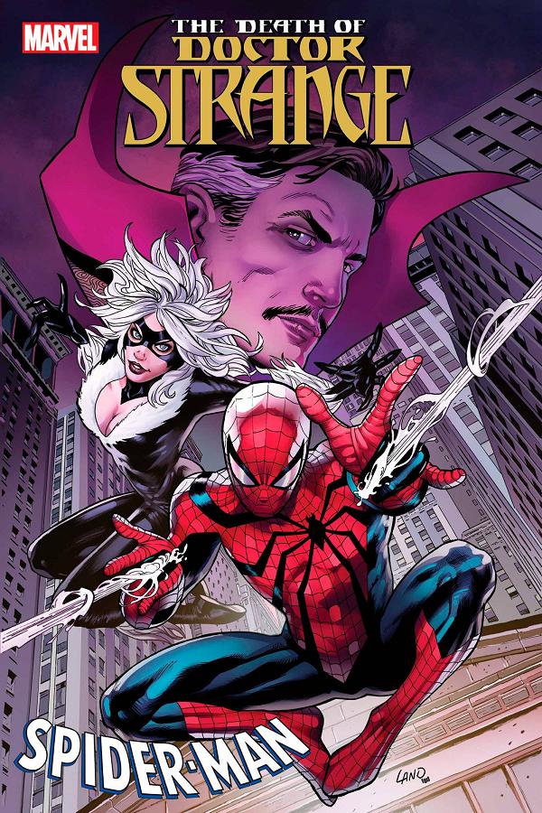 Death Of Doctor Strange Spider-Man #1  cover