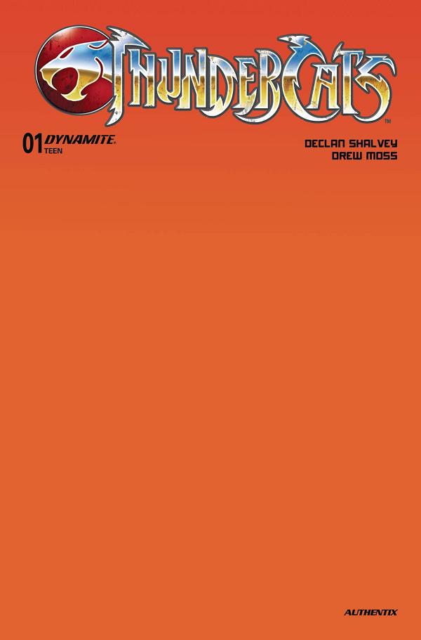 Thundercats #1 variant cover by Blank Cover