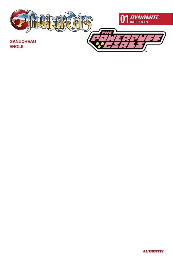 Thundercats Powerpuff Girls #1 CVR F BLANK AUTHENTIX cover