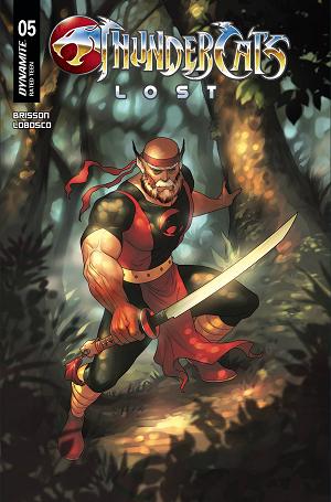 Thundercats Lost #5 CVR C HETRICK cover